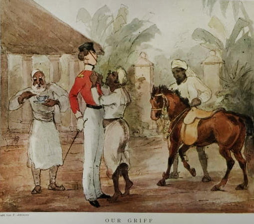 Great Indian Adventure: The Life of a 19th-Century British Expat -