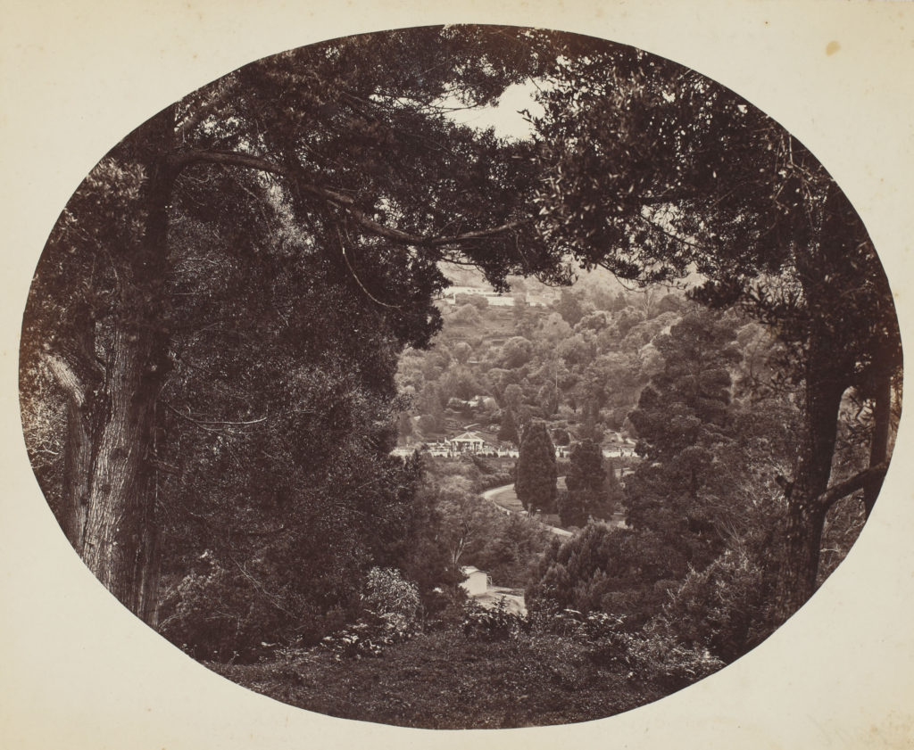 Through The Patient Lens: 19th-Century Images of India - Pradeep Chakravarthy, Sarmaya Talks