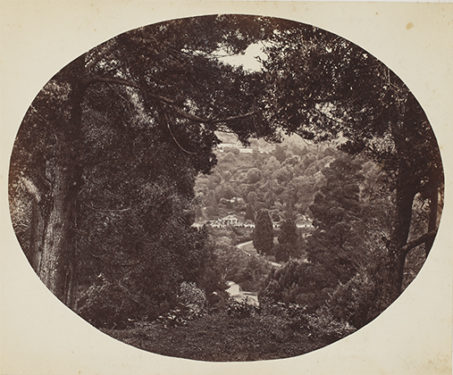 Through The Patient Lens: 19th-Century Images of India - Sarmaya Talks