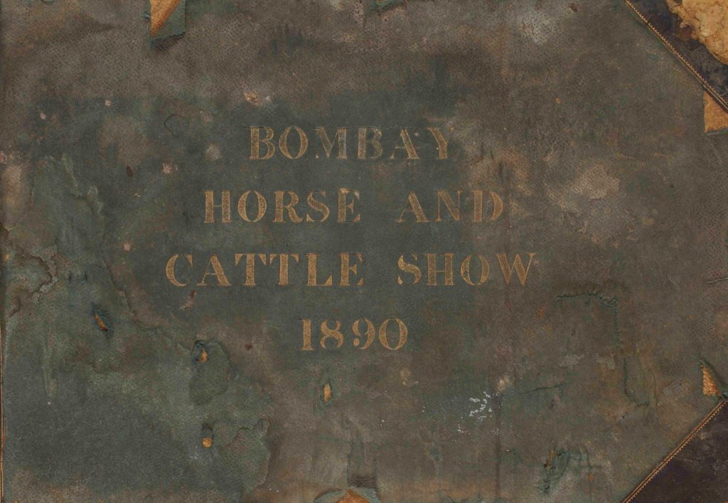 Magnificent Beasts and Where to Find them: At the Bombay Horse and Cattle Show, 1890 - Animals, Buffalo, Camel, Cattle, Horses, Komal Chitnis, Magnificent Beasts