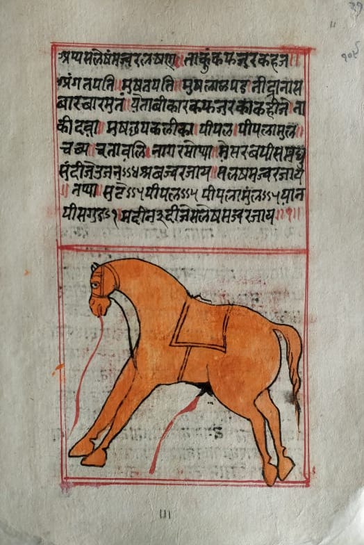 Shalihotra Samhita by Ancient India's Dr Dolittle - Ancient India, Animals, Magnificent Beasts, rare books