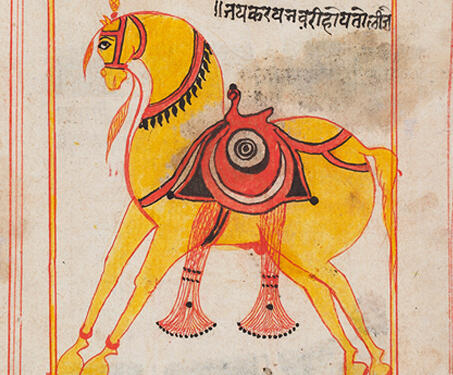 Manuscript of Shalihotra Samhita, Jodhpur - 18th century India, Animals, Jodhpur, Manuscript