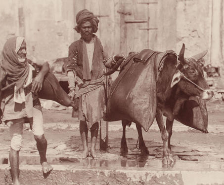 Bhishtis (Water-Carriers) - 19th Century Photography, British India, Communities, People of India, Water