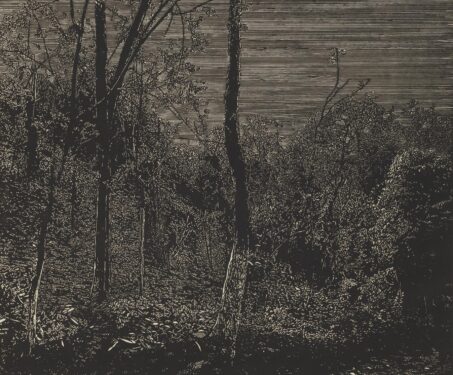 “My landscapes are testaments to the silent lands of Assam” - woodcut print
