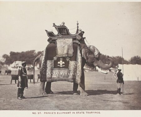 Object of the week: Behind-the-scenes of a royal Indian tour - Indian Royalty